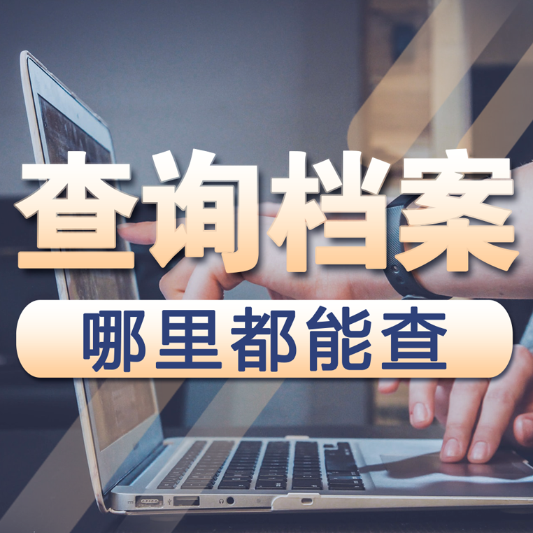 档案查询